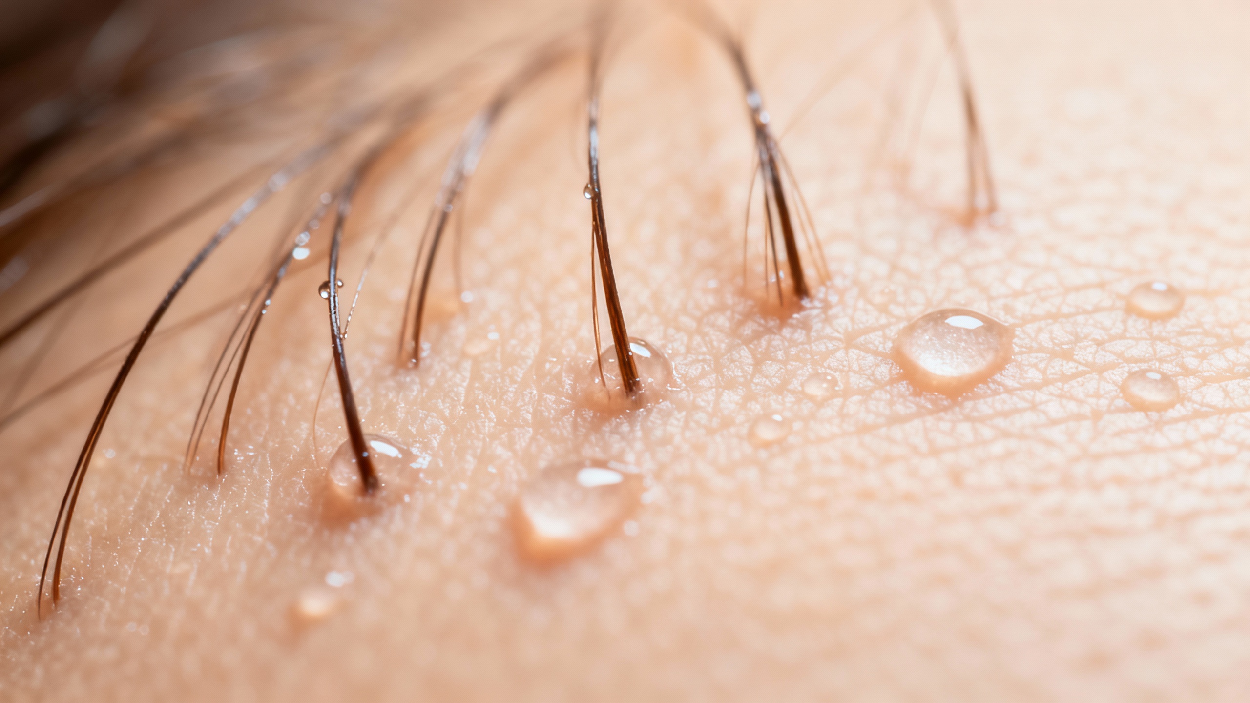 Your guide to healthy scalp wellness